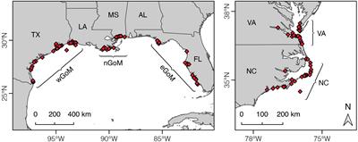 Regional Variation in Kemp’s Ridley Sea Turtle Diet Composition and Its Potential Relationship With Somatic Growth